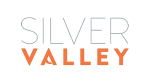 logo silver